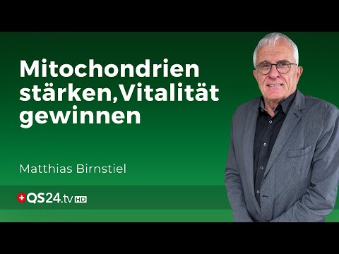 Energie & Vitalität: So unterstützen Sie Ihre Mitochondrien optimal | Erfahrungsmedizin | QS24