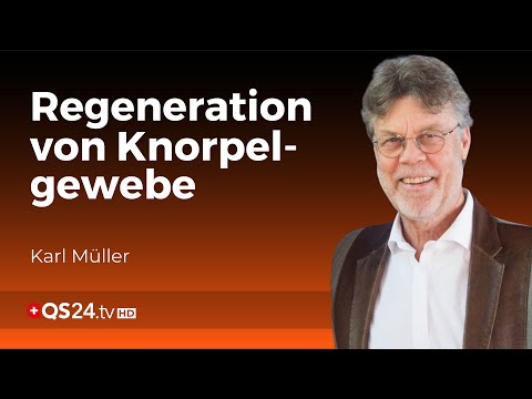 Grundlagen zum Knorpel-Wachstum | Knorpelregeneration | Schmerzfrei ohne Operieren | QS24