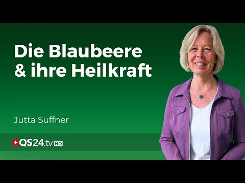 Neueste wissenschaftliche Erkenntnisse über die Heilkraft der wilden Heidelbeere | QS24