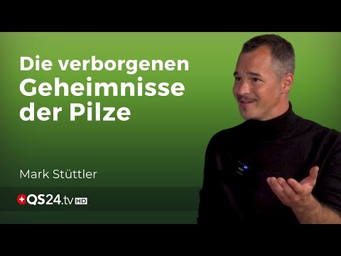 Die Pilz-Superhelden: Ihre erstaunliche Kraft für Gesundheit und Umwelt | Naturmedizin | QS24