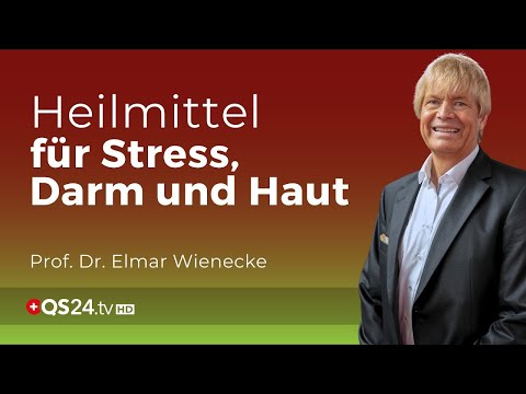 Heilung von innen heraus: Wie Mikronährstoffe Stress, Darm und Haut transformieren | QS24 Gremium