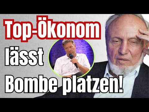 Hans-Werner Sinn KLARTEXT: Publikum ist sprachlos!