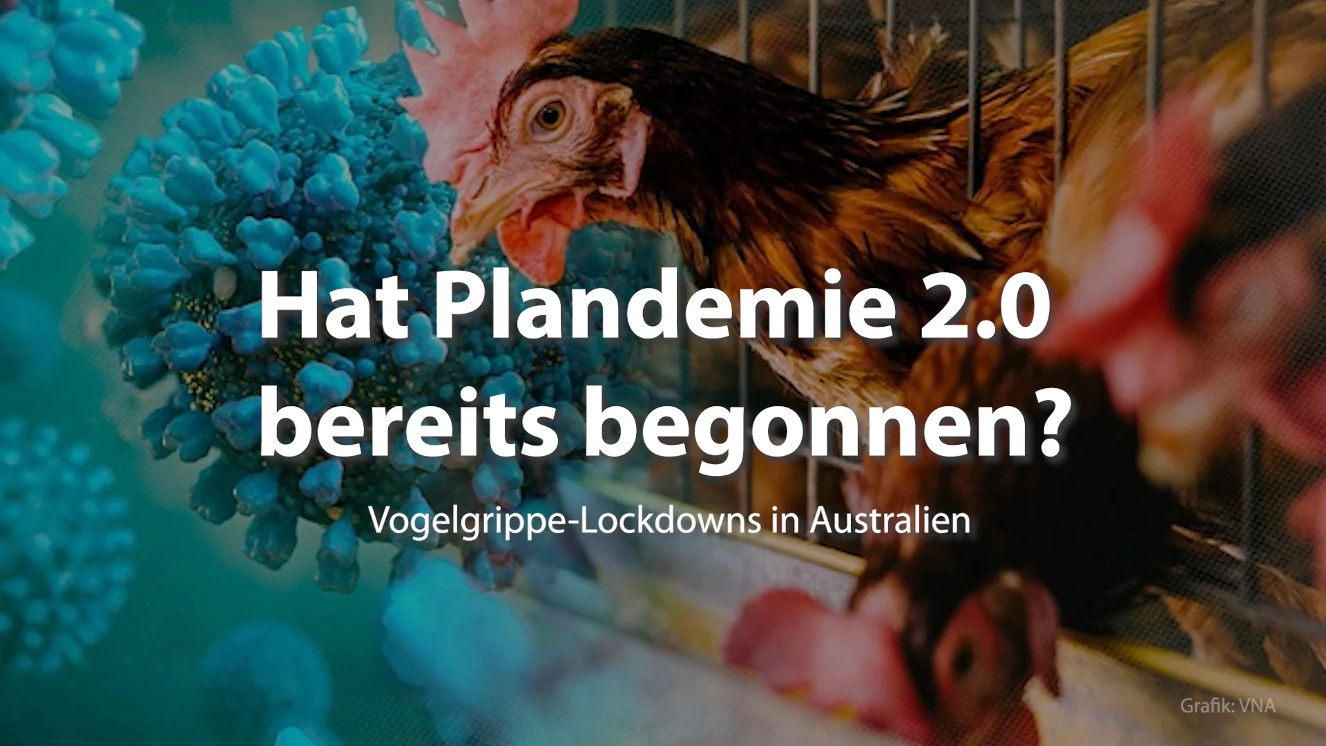 Hat Plandemie 2.0 bereits begonnen? Vogelgrippe-Lockdowns in Australien