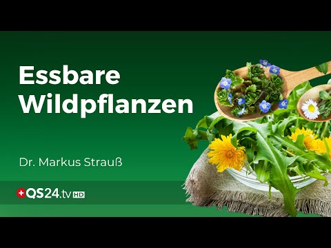 Die Essbare-Wildpflanzen-Revolution | Erfahrungsmedizin | QS24 Gesundheitsfernsehen