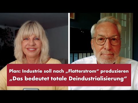 Plan: Industrie soll nach „Flatterstrom“ produzieren – Punkt.PRERADOVIC mit Prof. Fritz Vahrenholt