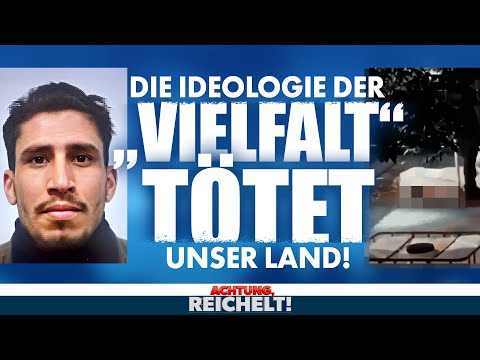 Wie die Ideologie der “Vielfalt” den Terror nach Solingen brachte| Achtung, Reichelt!