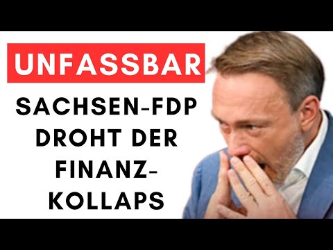 FDP verliert 500.000€ Wahlkostenerstattung! Spendenaufruf bereits gestartet!