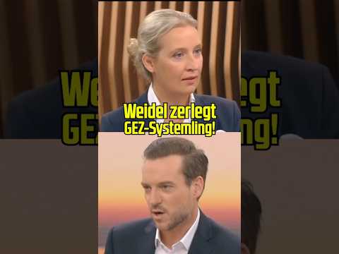 GEZ Systemling staunt Bauklötze! #aliceweidel