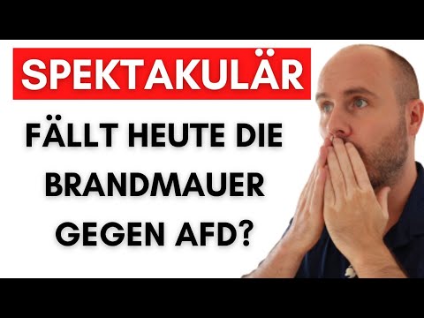 CDU Mitglieder fordern Brandmauer gegen BSW & STATTDESSEN Verhandlungen mit AfD!