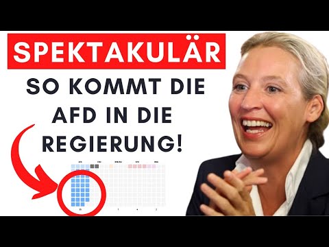 Mit DIESER Strategie holt die AfD die absolute Mehrheit!