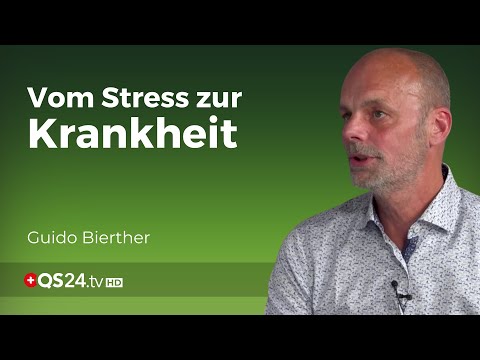 Was ist Stress überhaupt oder der Samen dessen, was wir Krankheit nennen? | Erfahrungsmedizin | QS24