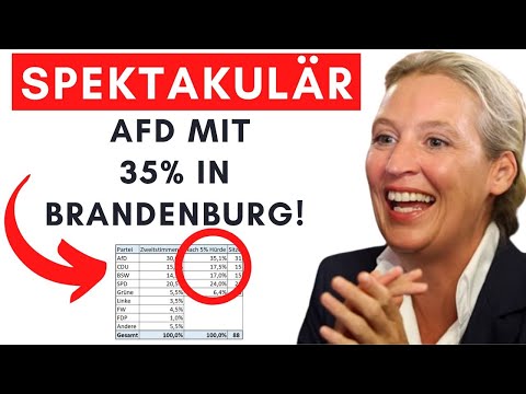 Prognose: AfD bekommt 84% der Direktmandaten UND Sperrminorität!