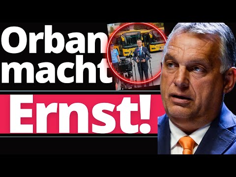 “Wir schicken sie mit Bussen nach Brüssel!”