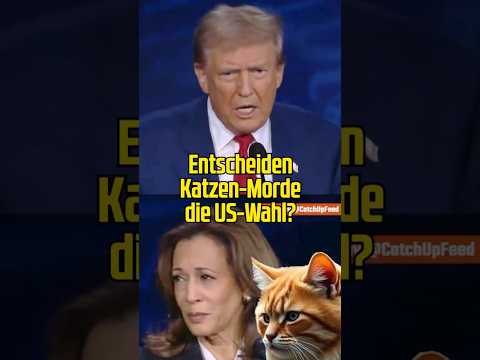 Entscheiden gegrillte Hunde und Katzen die Wahl? #trump