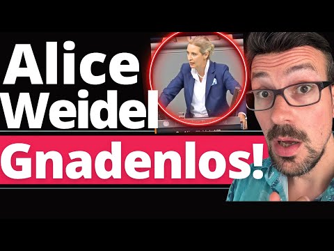 Alice Weidel bringt den Bundestag zum beben!