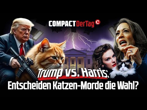 Trump vs. Harris: Entscheiden Katzen-Morde die Wahl?💥