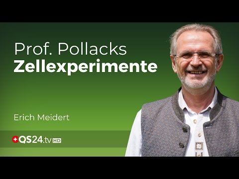 Zellbiologie im Wandel: Diskussion über Prof. Pollacks Forschungsergebnisse  | QS24