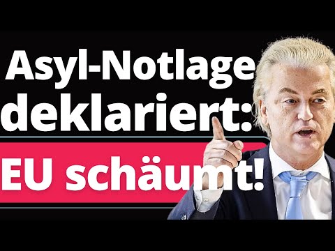 Geert Wilders SCHOCKT die ganze EU!