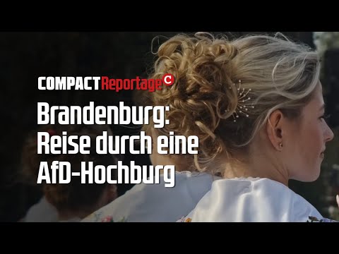 Brandenburg: Reise durch eine AfD-Hochburg