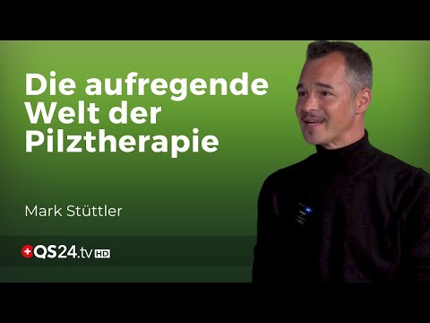 ORAC-Champion: Chaga-Pilz übertrifft alle anderen Antioxidantien um das Zehnfache!  | QS24