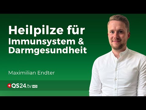 Allergien, Darmprobleme & Autoimmunkrankheiten: Heilpilze für Immunsystem und Darmgesundheit | QS24