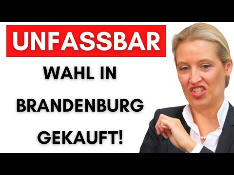 Vereine beeinflussen mit Steuergeld die Wahl, um AfD zu verhindern!