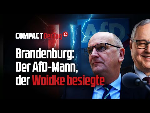 Brandenburg: Der AfD-Mann, der Woidke besiegte💥