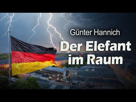 Der Elefant im Raum – Wie Deutschland bis zum letzten Cent ausgeraubt wird – Günter Hannich