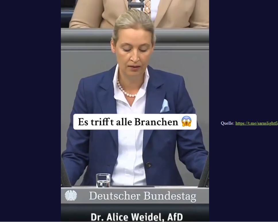 Alice Weidel: Das VW Desaster ist nur die Spitze des Eisberges…