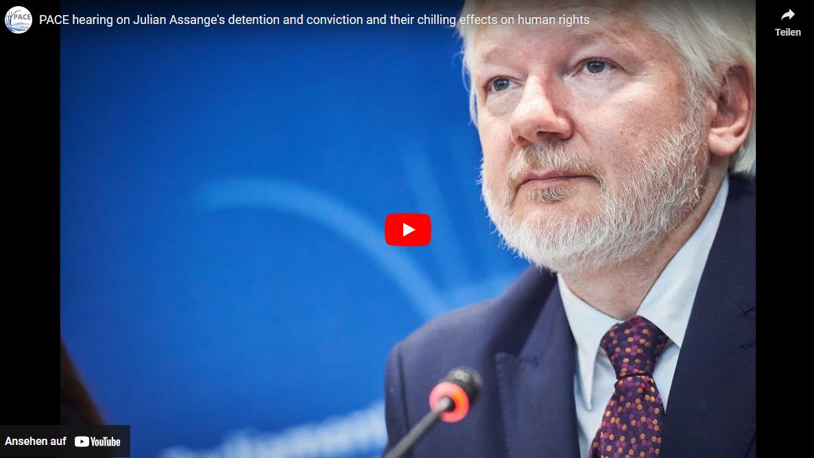 Julian Assange spricht im Europarat