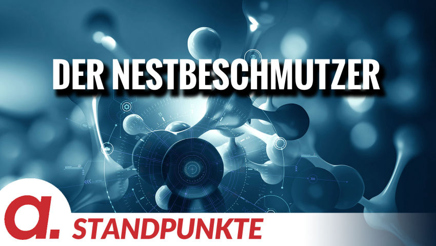 Der Nestbeschmutzer | Von Anke Behrend