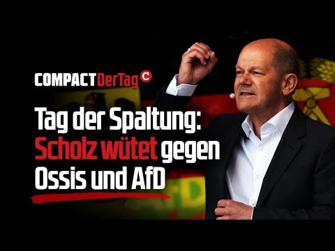 Tag der Spaltung: Scholz wütet gegen Ossis und AfD💥