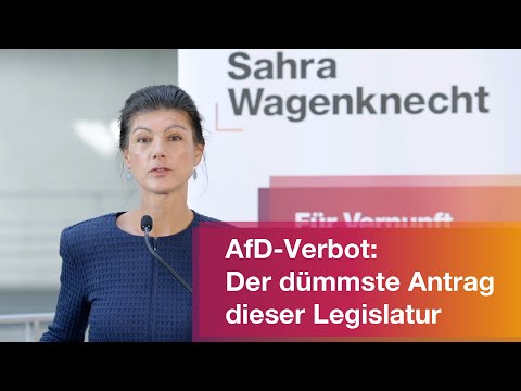 AfD-Verbot: Der dümmste Antrag dieser Legislatur