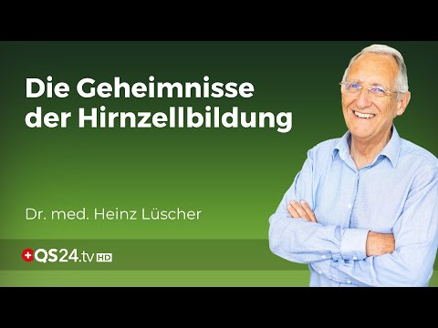 Die faszinierende Welt der Neurogenese: Auf der Suche nach dem Jungbrunnen für das Gehirn | QS24