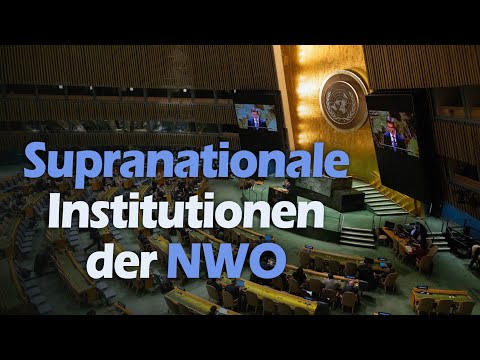 Die Supranationalen Institutionen der NW0