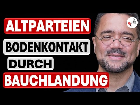 Die Altparteien verzweifeln an der Alternative für Deutschland | Prof. Dr. Harald Weyel im Interview