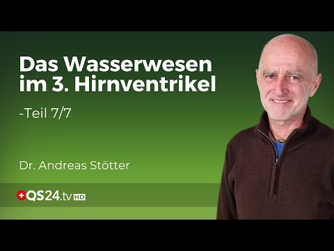 Die Zirbeldrüse im 3. Hirnventrikel: Entdecken Sie das verborgene Geheimnis | Teil 7/7 | QS24