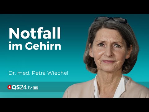 Gefahr im Gehirn: Alles, was Sie über den Schlaganfall wissen müssen | Visite | QS24