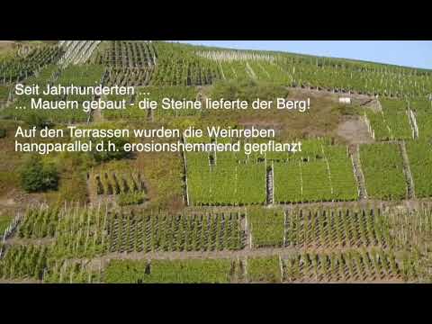 Weinberge an der Ahr  –  Abfluss unvernünftig beschleunigt!