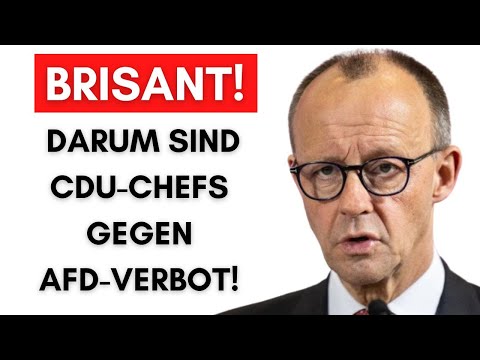 Wenn AfD-Verbot scheitert: DAS wären die brisanten Folgen!