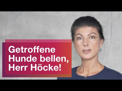 Getroffene Hunde bellen, Herr Höcke!