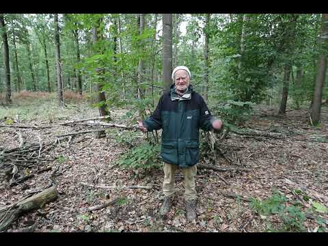 Ein Gast-Film „Keine Windindustrie in Waldpolenz!“ /Sachsen