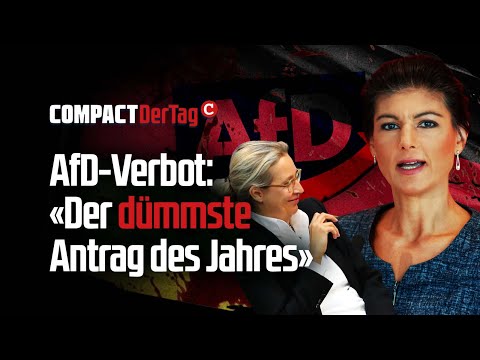 AfD-Verbot: «Der dümmste Antrag des Jahres»💥