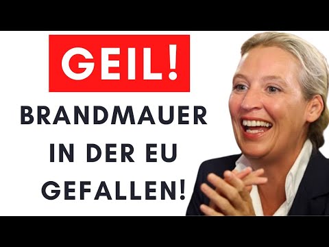 CDU stimmt AfD-Antrag zu – Grüne rasten komplett aus!