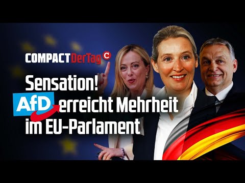 Sensation! AfD erreicht Mehrheit im EU-Parlament💥