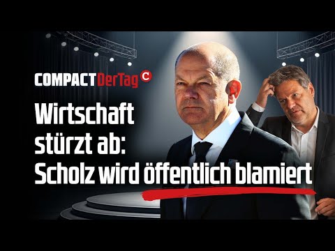 Wirtschaft stürzt ab: Scholz wird öffentlich blamiert💥