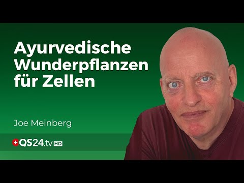 Tulsi und die Kraft der Zellen: Ein ayurvedisches Wunder | Erfahrungsmedizin | QS24