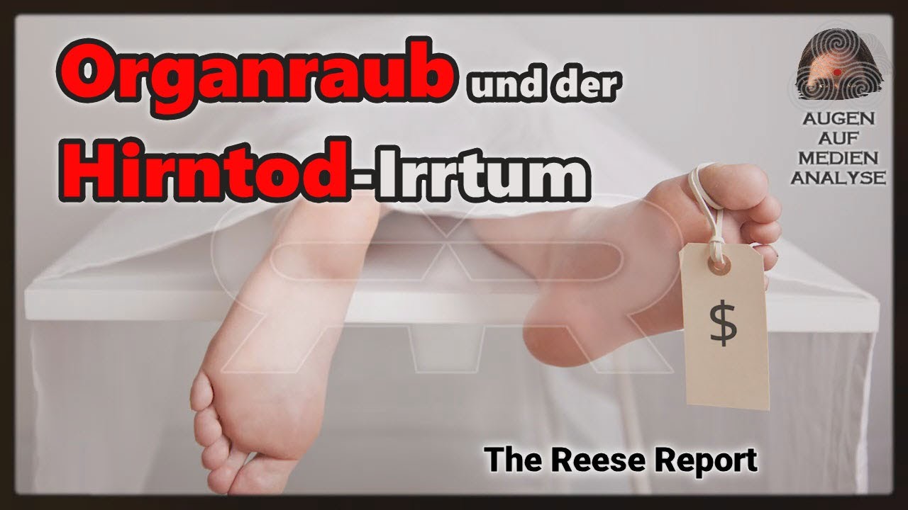 Organraub und der Hirntod-Irrtum (Reese Report – Deutsch)