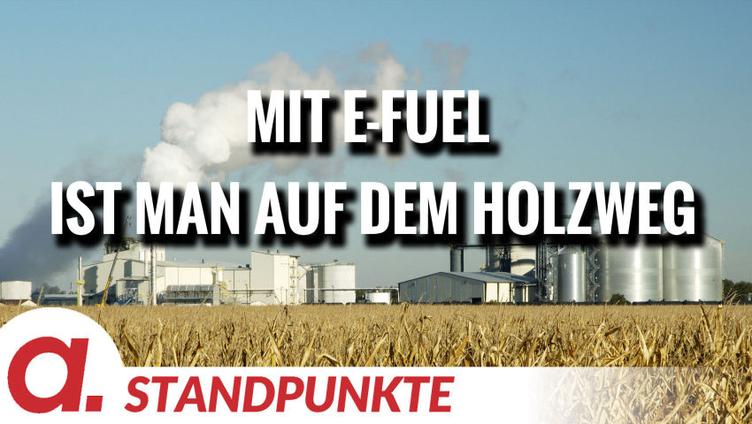 E-Fuel: Mit dem grünen Holzgeist ist man auf dem Holzweg | Von Wilfried Schuler