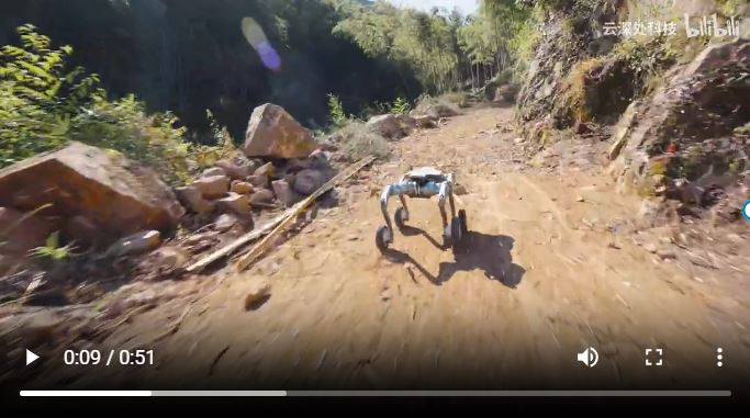 🐶Wie siehts eigentlich mit den Roboterhunden aus…oh!